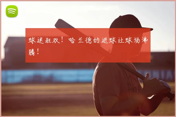 球迷狂欢!哈兰德的进球让球场沸腾!